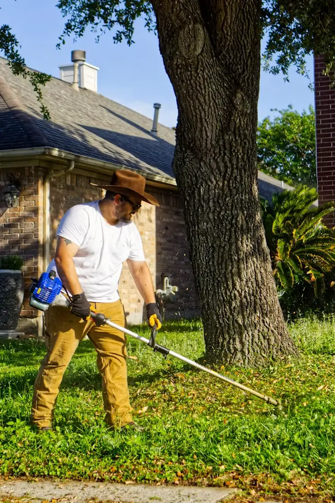 Property Maintenance